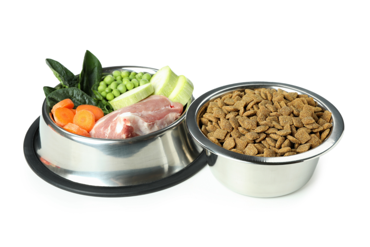 Trockenfutter für Hunde