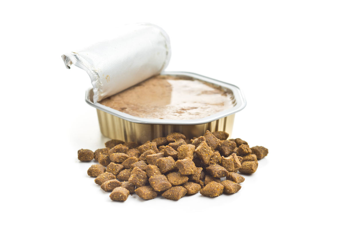 Hundefutter: Nass- oder Trockenfutter